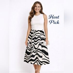 Grace Dane Lewis Silk Zebra Print A-Line Skirt Size 16 Black White